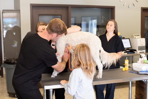 Dr. Lane performing exam