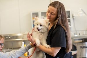 Tech with white puppy