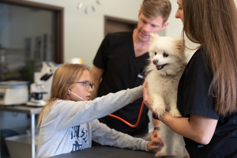Team with patient and pet