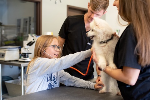 Young volunteer helping with exam